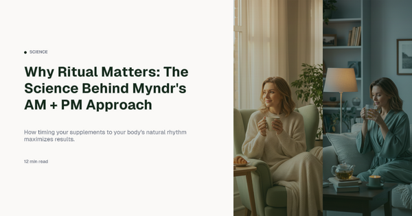 Why Ritual Matters: The Science Behind Myndr’s AM + PM Approach